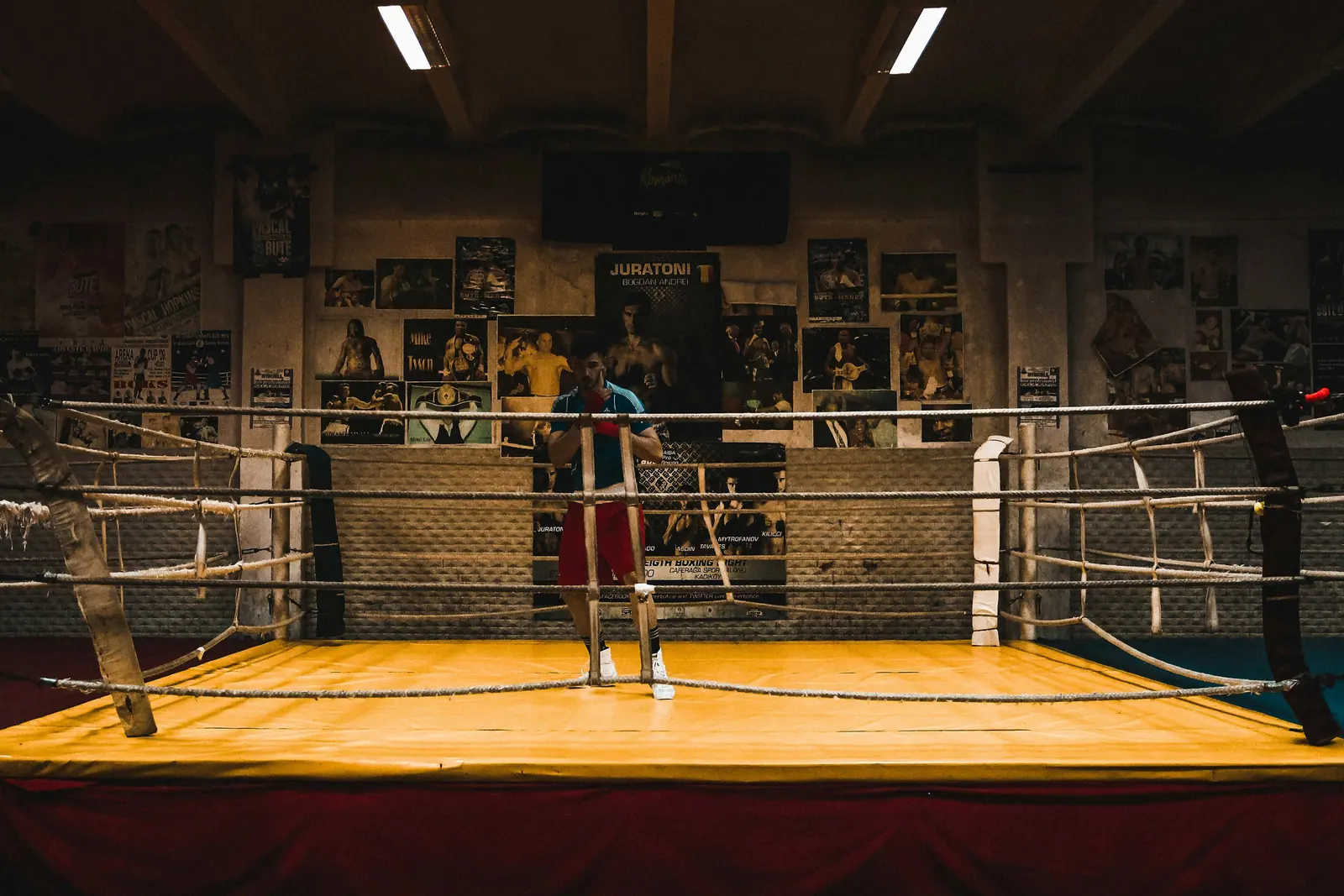 El ring · noche de festival